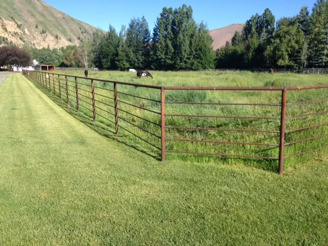 Continuous steel pipe fence around a green Idaho pasture