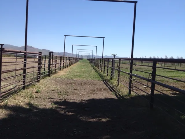 Steel fence along a rural Idaho road with mountains in the distance